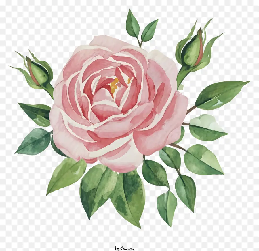 Dessin Animé，Fleurs Aquarelles PNG