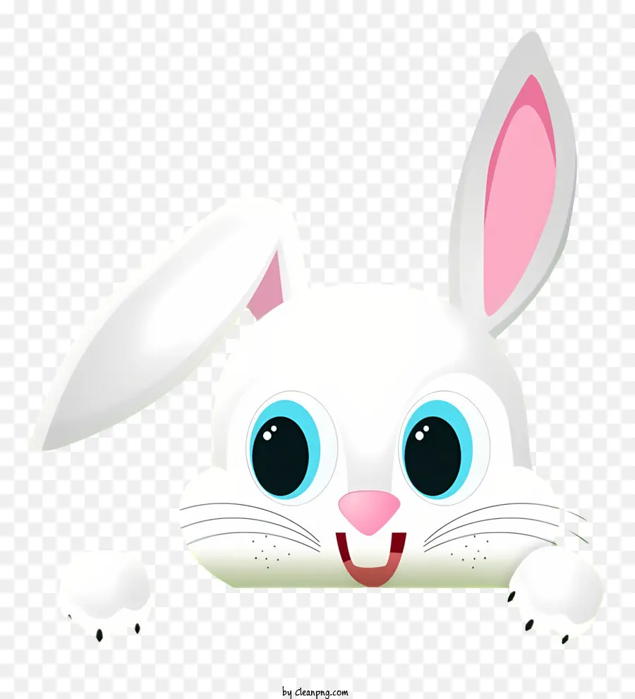 Visage De Lapin，Lapin De Dessin Animé PNG