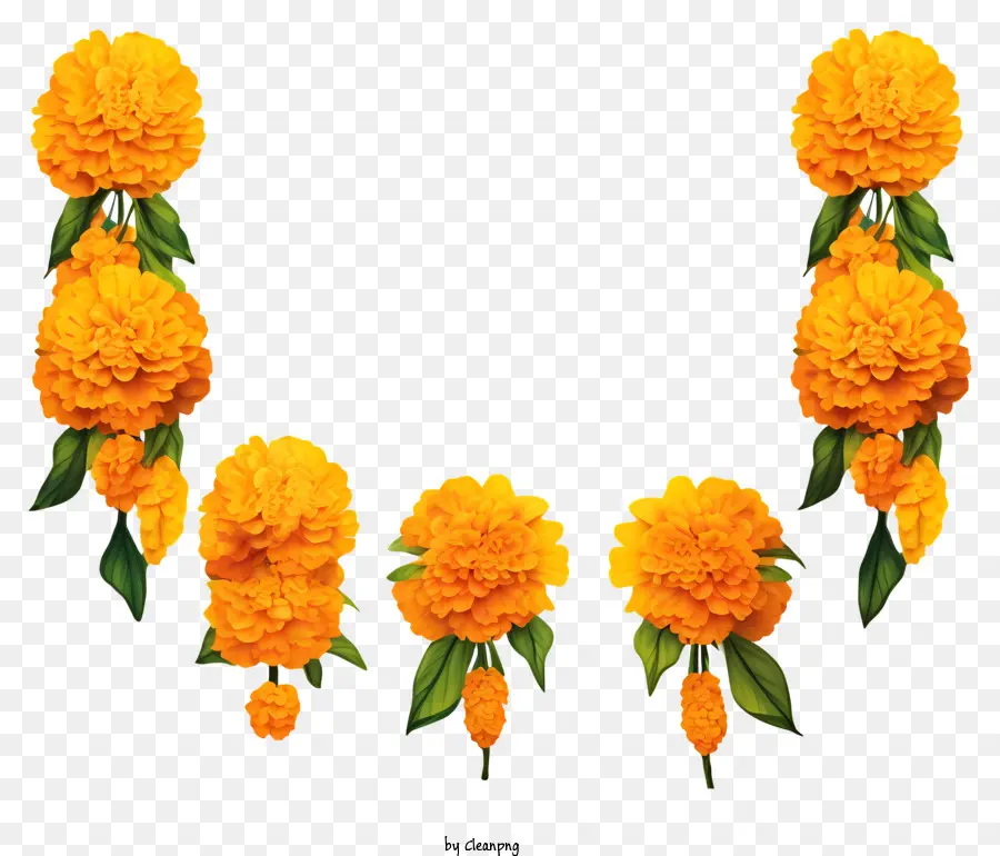 Cartoon Marigold Flower Garland，œillets D'orange PNG