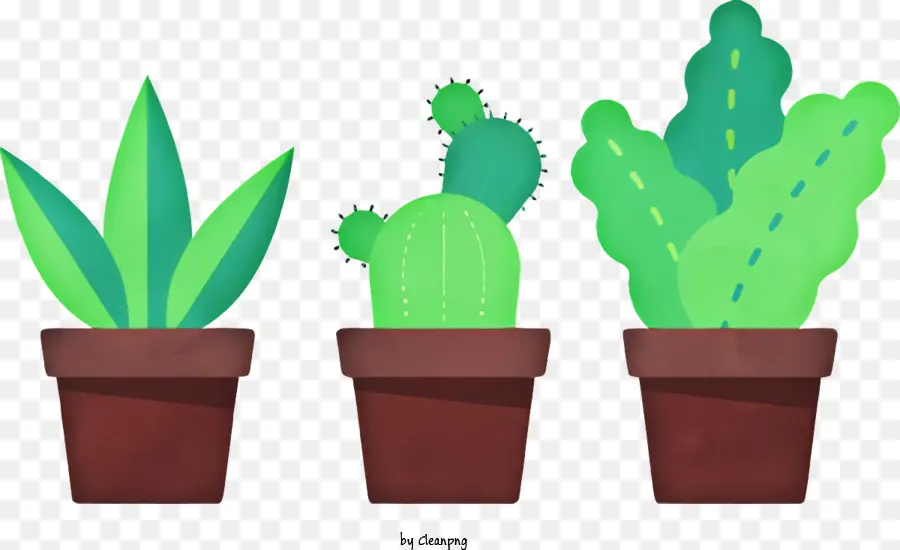 Dessin Animé，Cactus Vert PNG