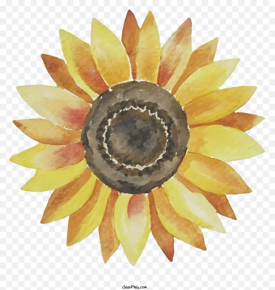 Dessin Animé，Tournesol PNG