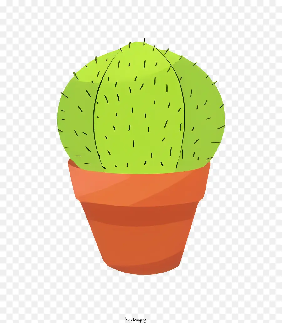 Flèche，Petite Plante De Cactus PNG