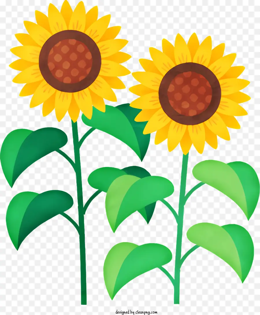 Dessin Animé，Tournesols PNG