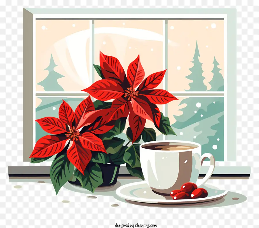 Fenêtre，Poinsettia Et Café PNG