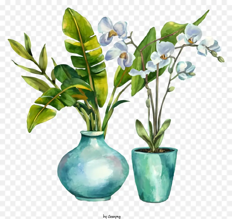 Dessin Animé，Plantes En Pot PNG