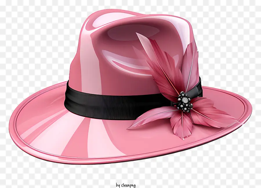 Chapeau，Chapeau Rose PNG