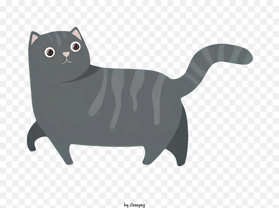 Chat Noir，Chat à Rayures Gris Et Blanc PNG