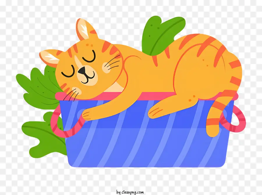 Chat Noir，Chat Tabby Orange PNG