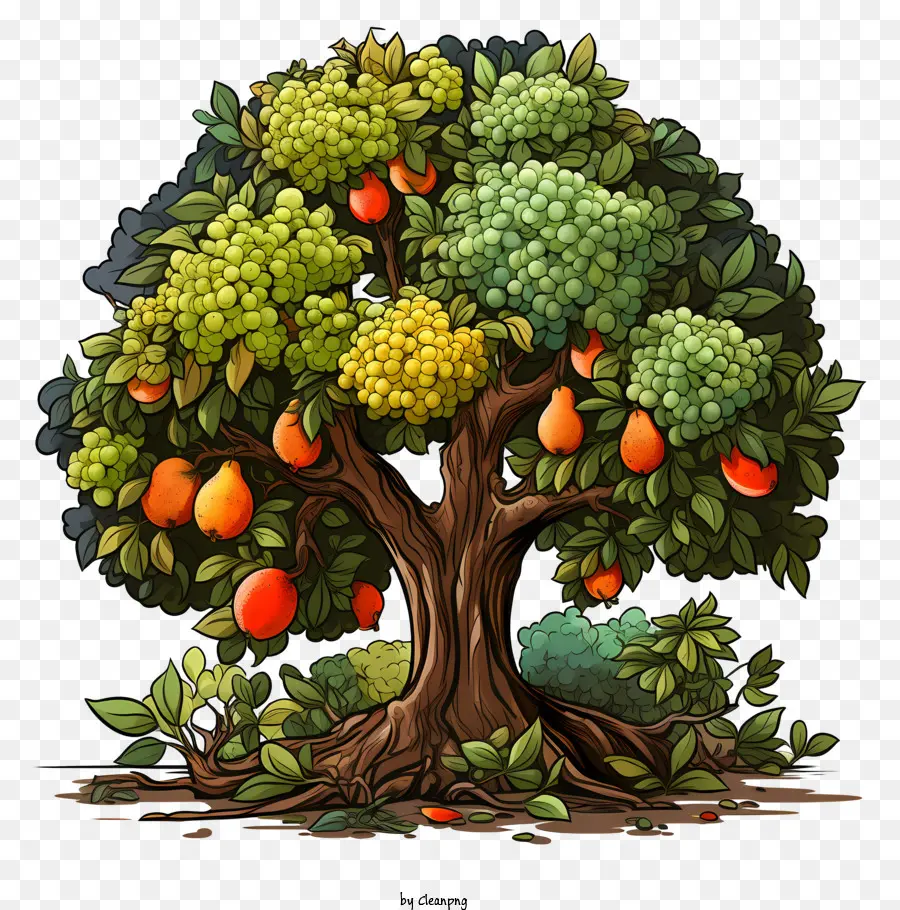 Arbre Fruitier，Fruits PNG