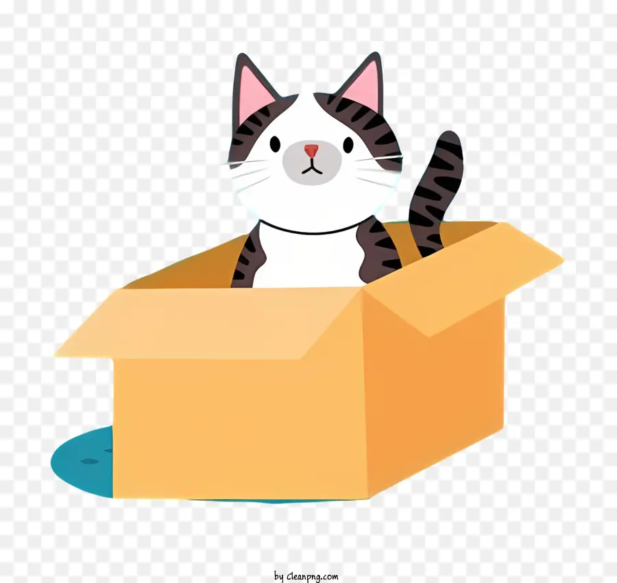 Chat Noir，Chat Dans Une Enveloppe PNG