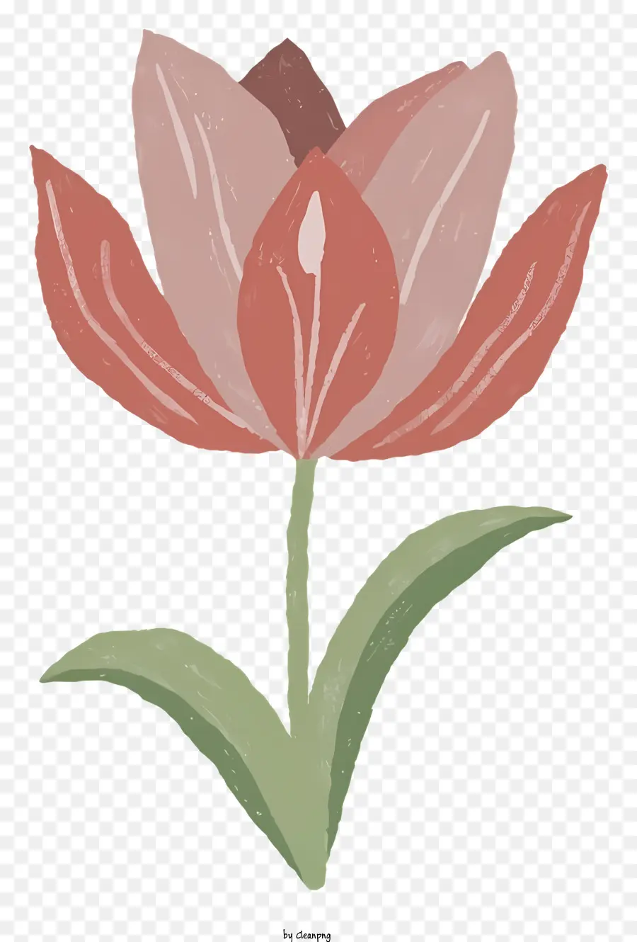 Dessin Animé，Rose Tulipe PNG
