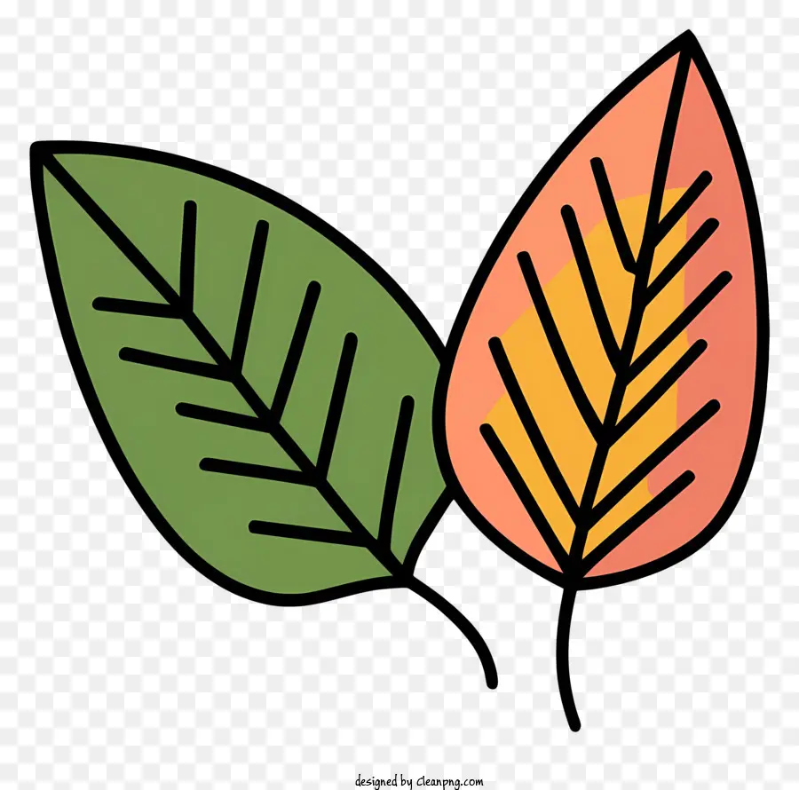 Dessin Animé，Feuilles PNG