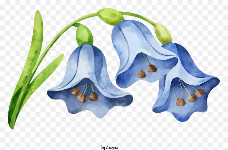 Dessin Animé，Fleurs Bleues PNG