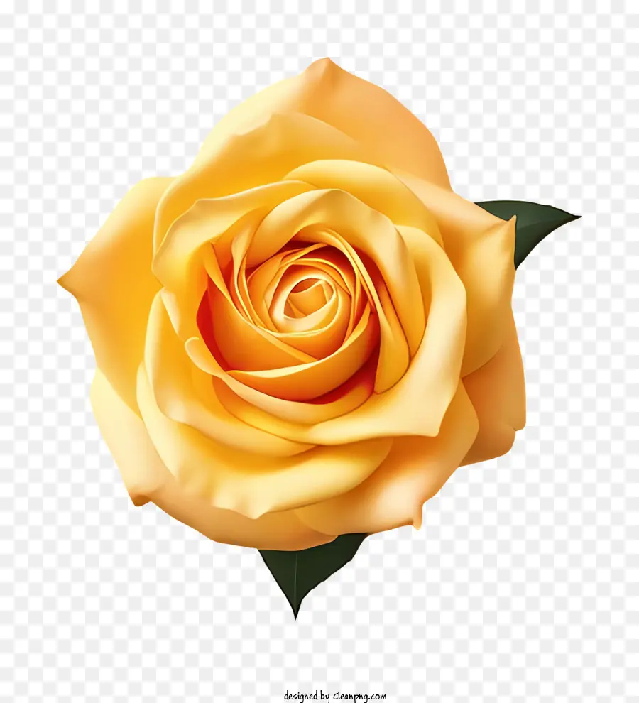 Rose Jaune，Fleur PNG