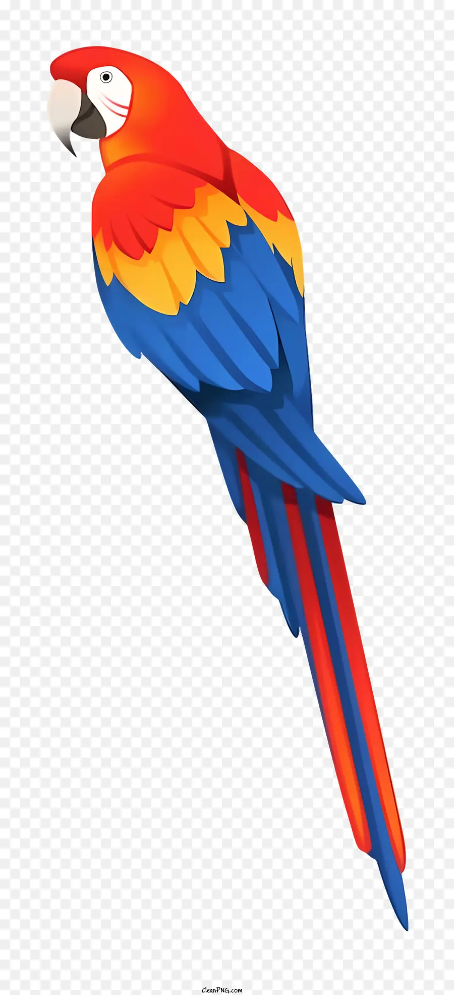 Coloré Parrot，Plumes Bleues Et Rouges PNG