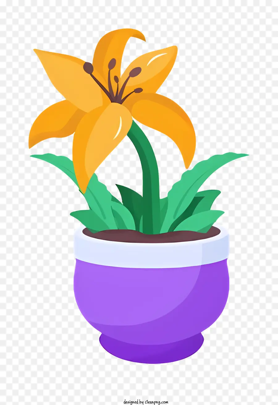 Fleur，Plante En Pot PNG