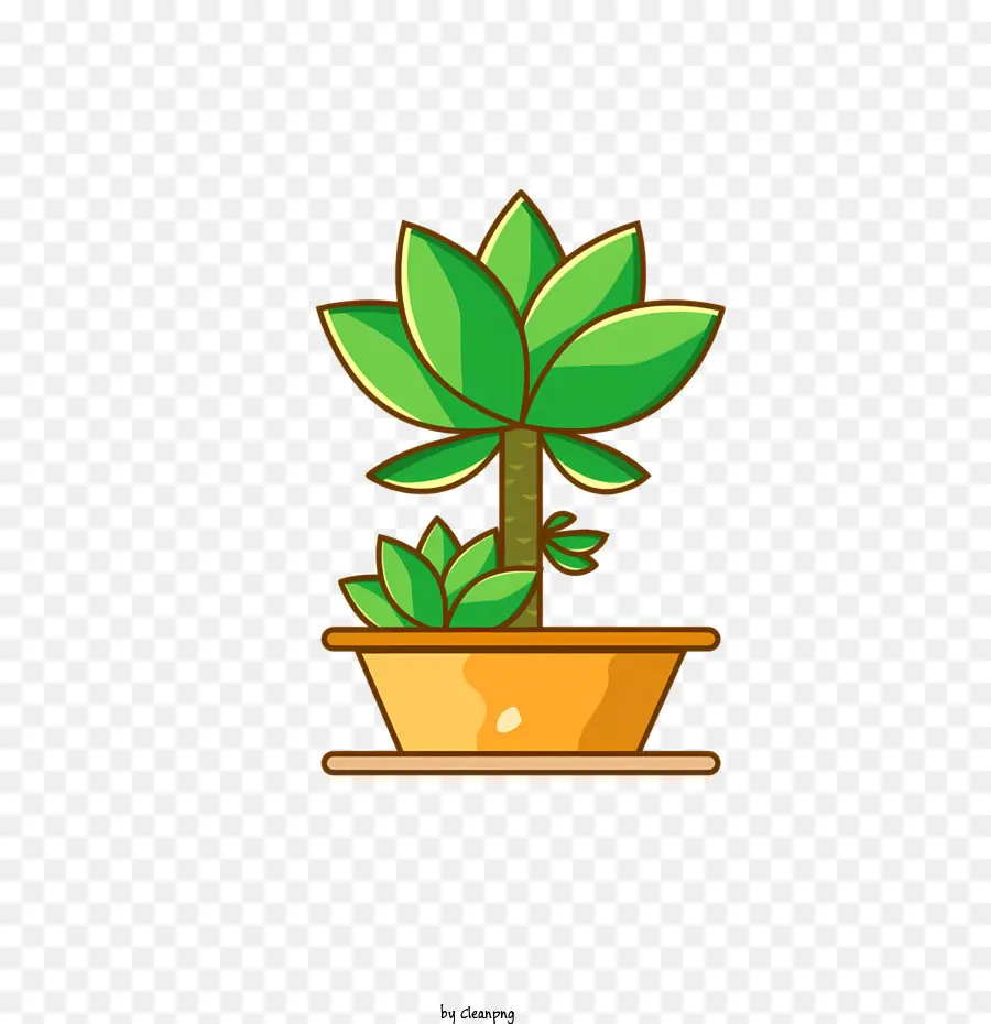 Petite Plante Verte，Plante En Pot PNG