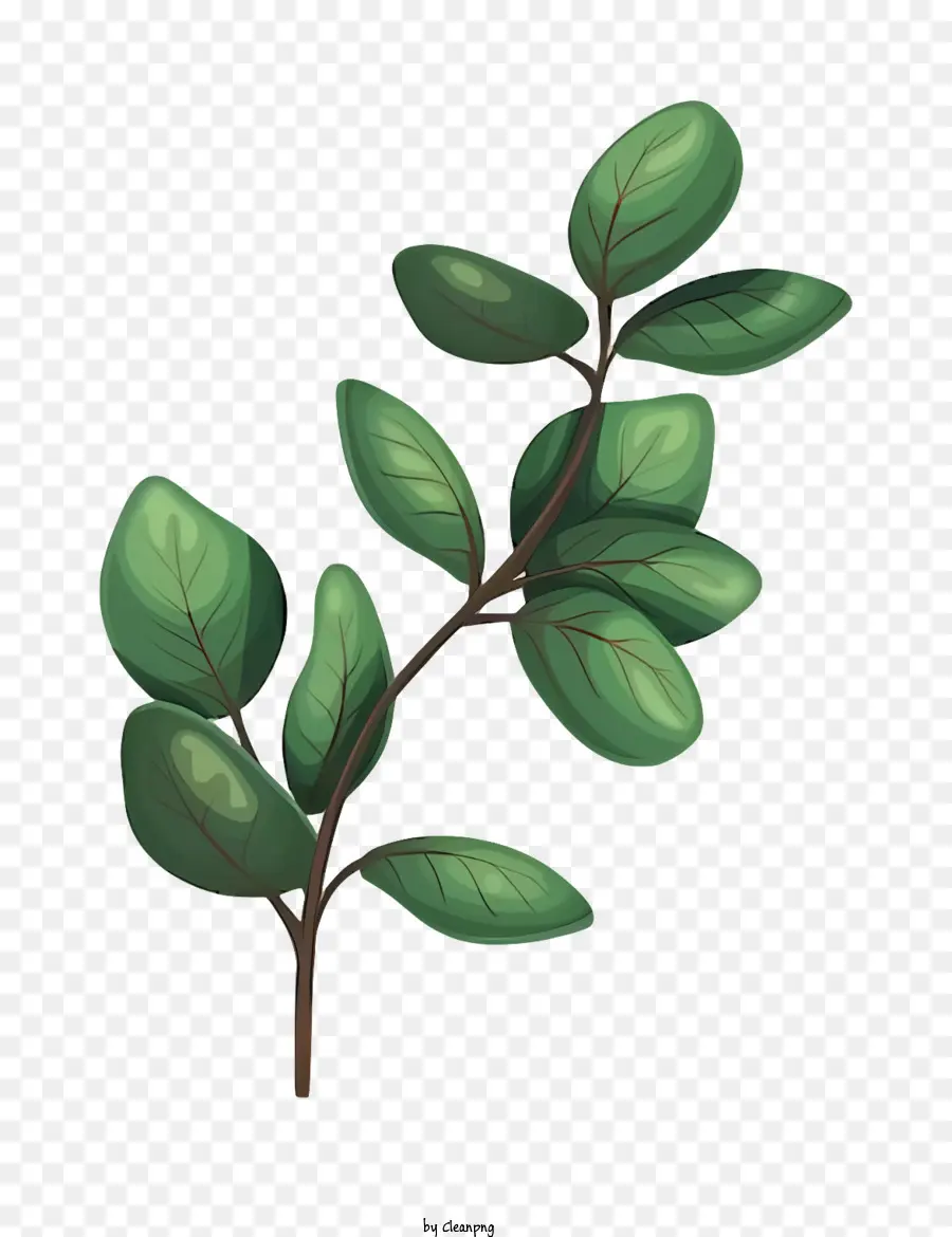 Icône，Plante Verte PNG