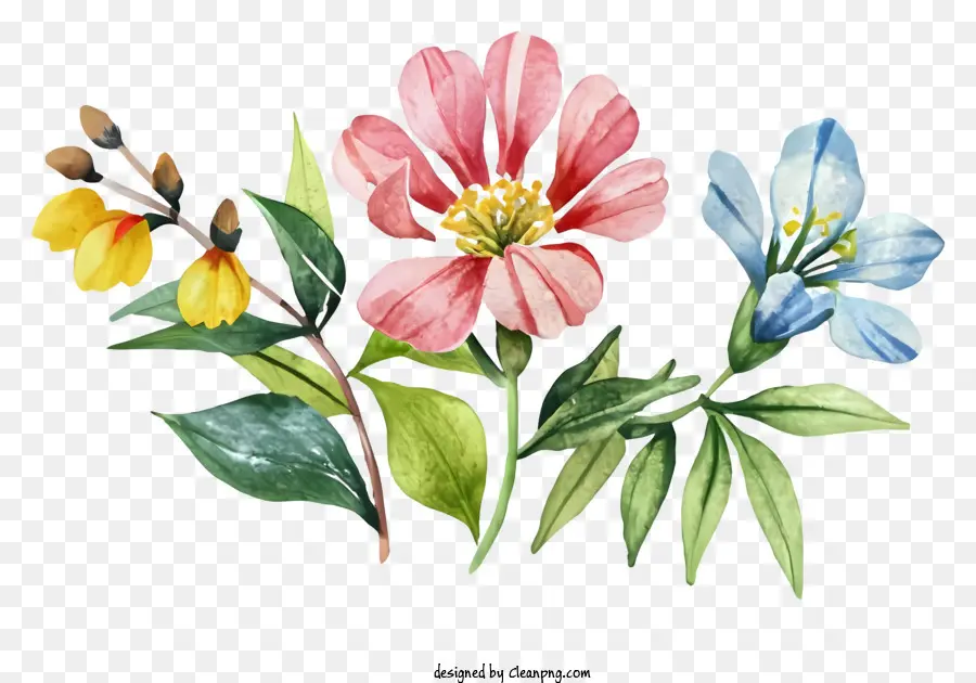 Dessin Animé，Fleurs Colorées PNG