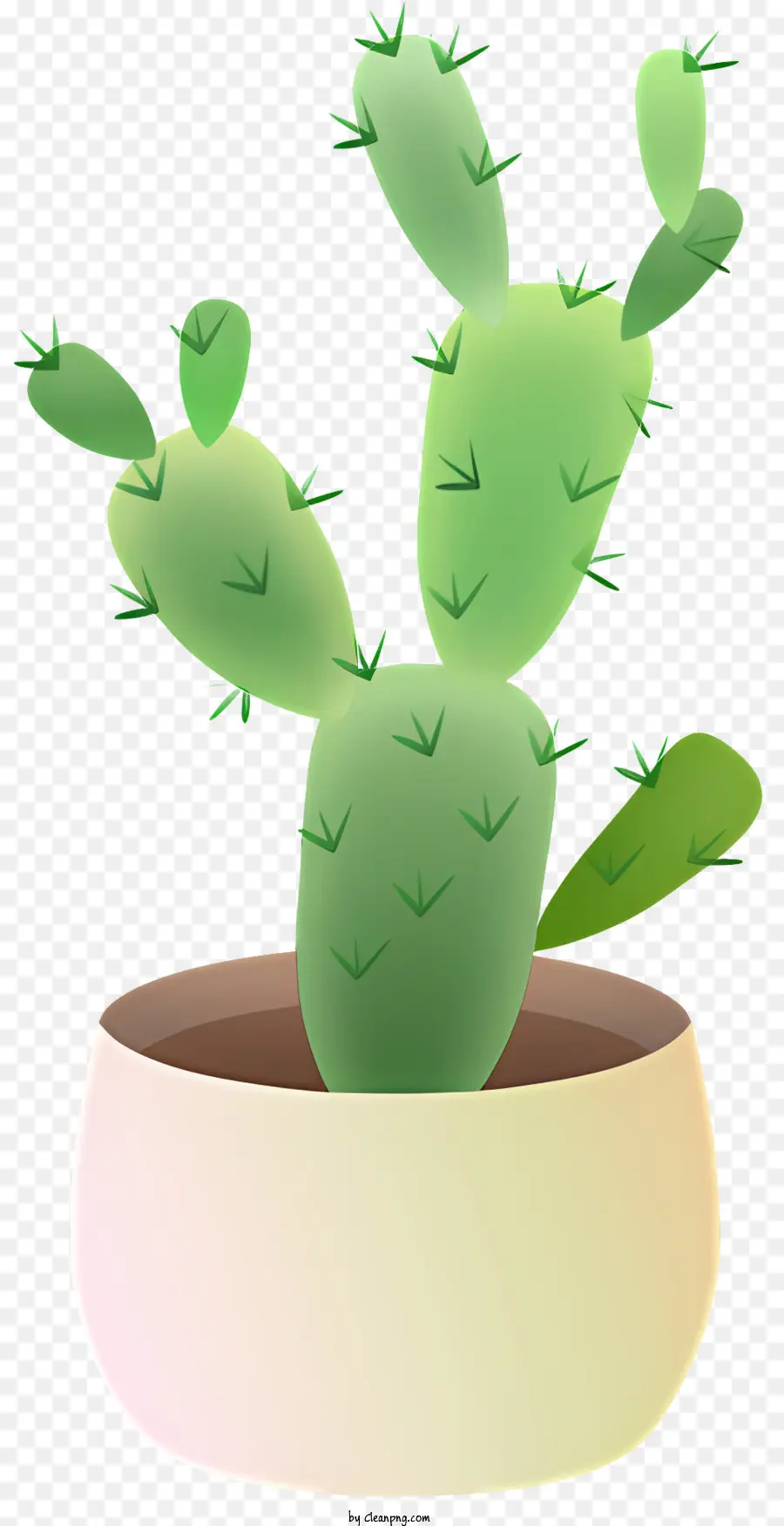 Petit Cactus En Pot，Feuilles Vertes PNG