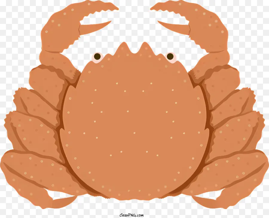 Crabe，Brune De Crabe PNG