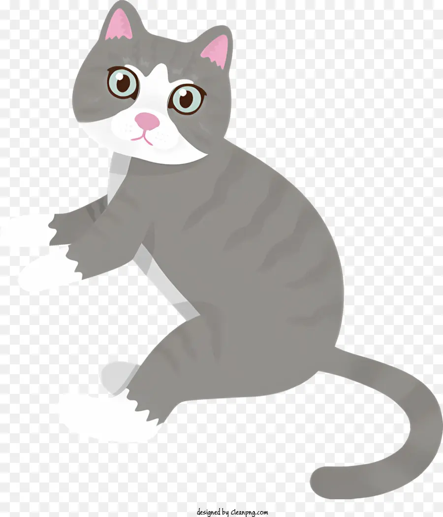 Chat，Gris PNG