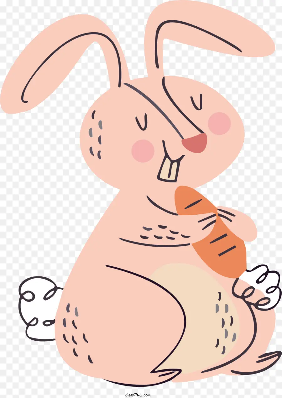 Icône，Lapin PNG