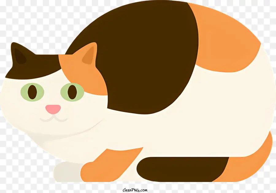 Chat Calico，Chat Aux Cheveux Longs PNG