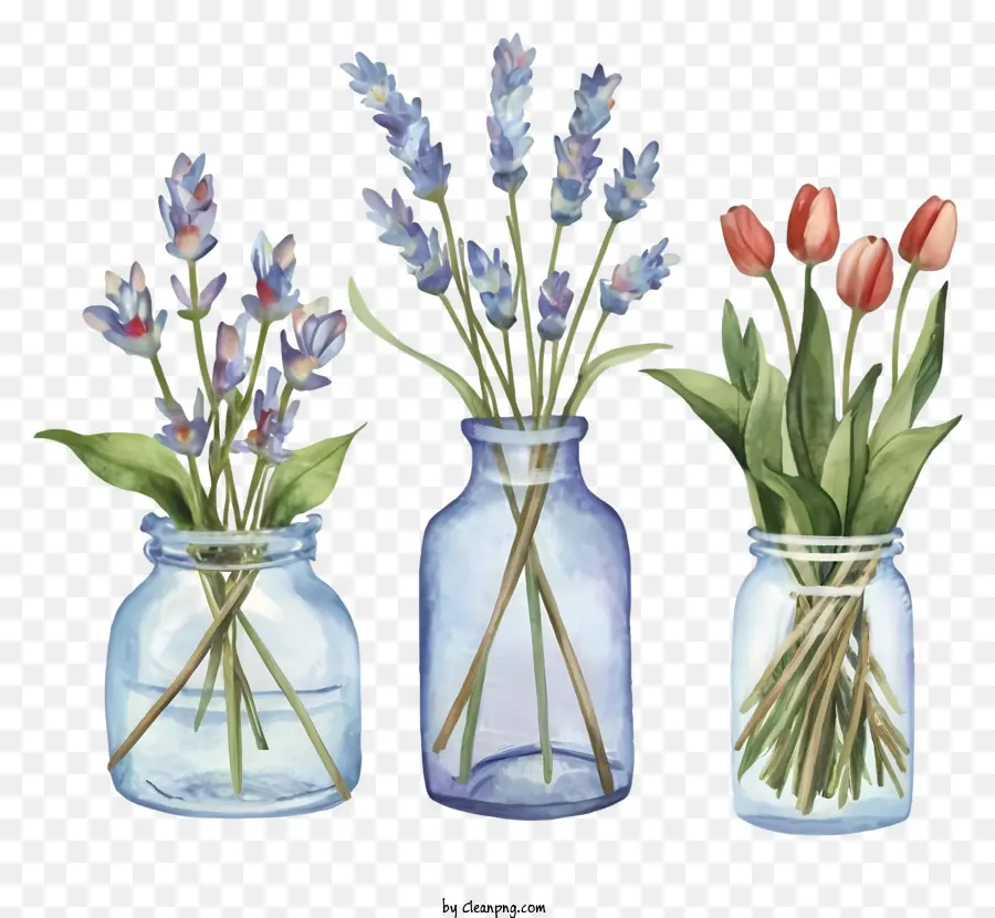 Dessin Animé，Vases à Fleurs PNG