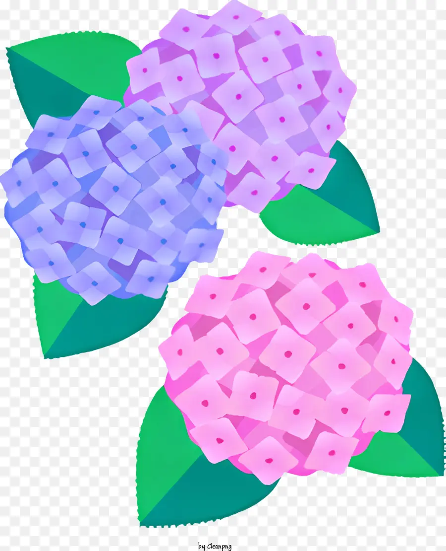 Icône，Fleurs D'hortensia PNG