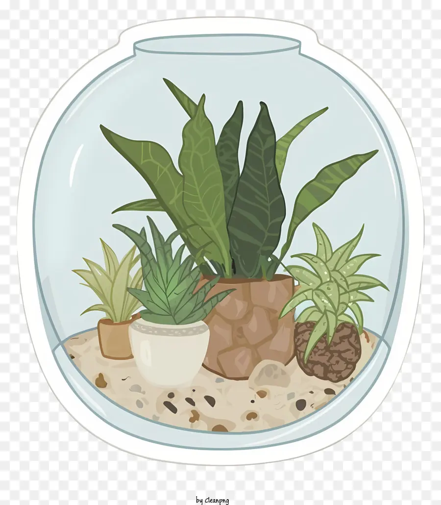 Dessin Animé，Terrarium PNG