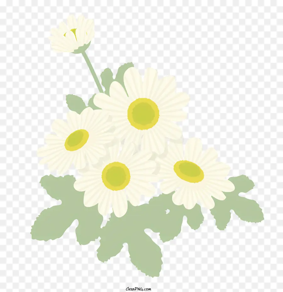 Icône，Marguerites PNG