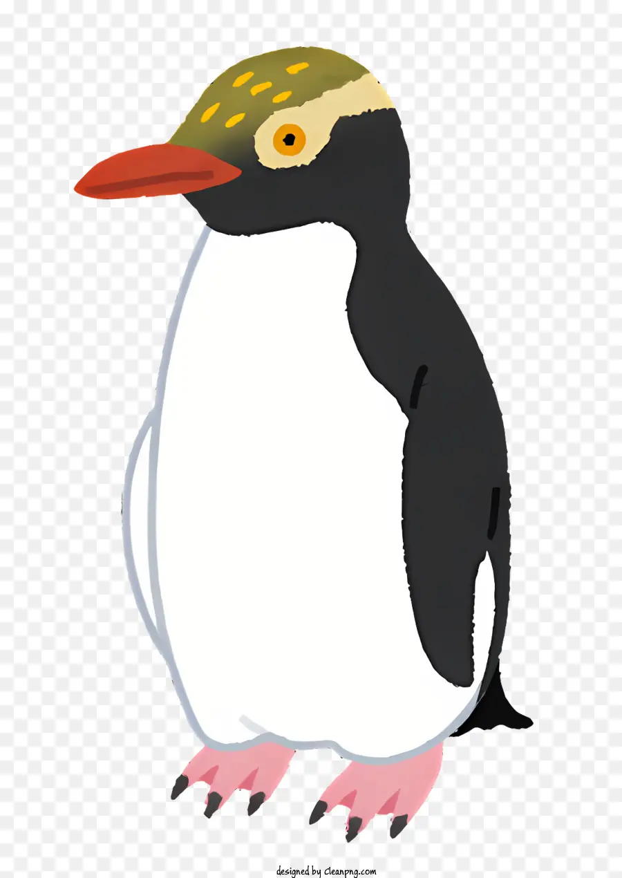 La Nature，Pingouin Debout PNG