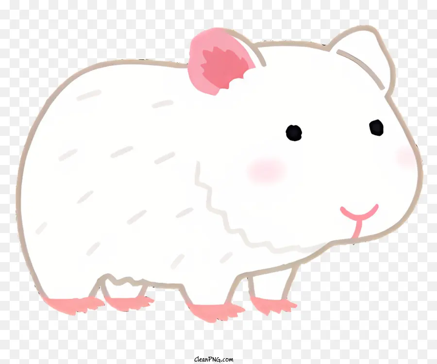 Nature，Hamster Blanc PNG