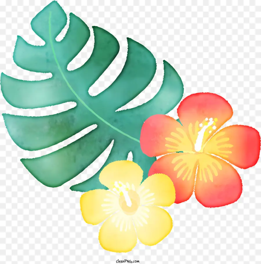 Fleur，Coloré PNG