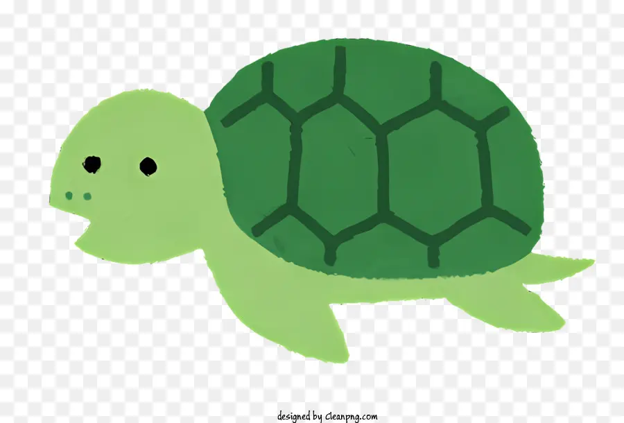 Nature，Tortue Bleue PNG