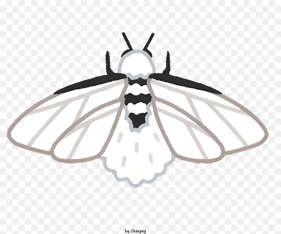 Nature，Papillon De Nuit PNG