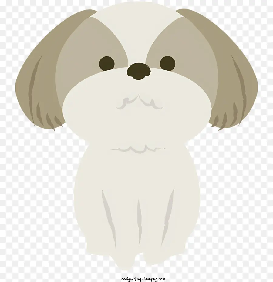 Shih Tzu，Chien PNG