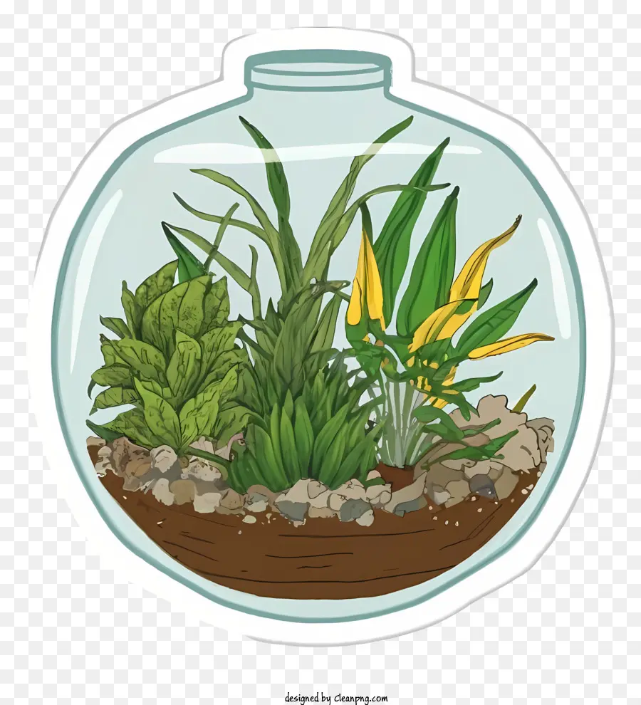 Dessin Animé，Terrarium PNG