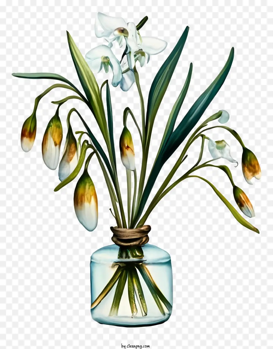 Dessin Animé，Vase à Fleurs PNG