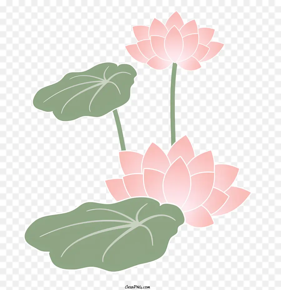 Icône，Lotus Rose PNG