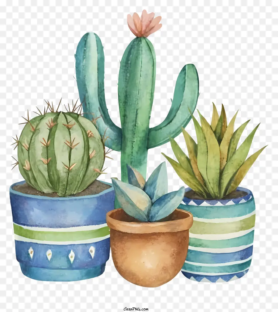 Dessin Animé，Cactus En Pot PNG