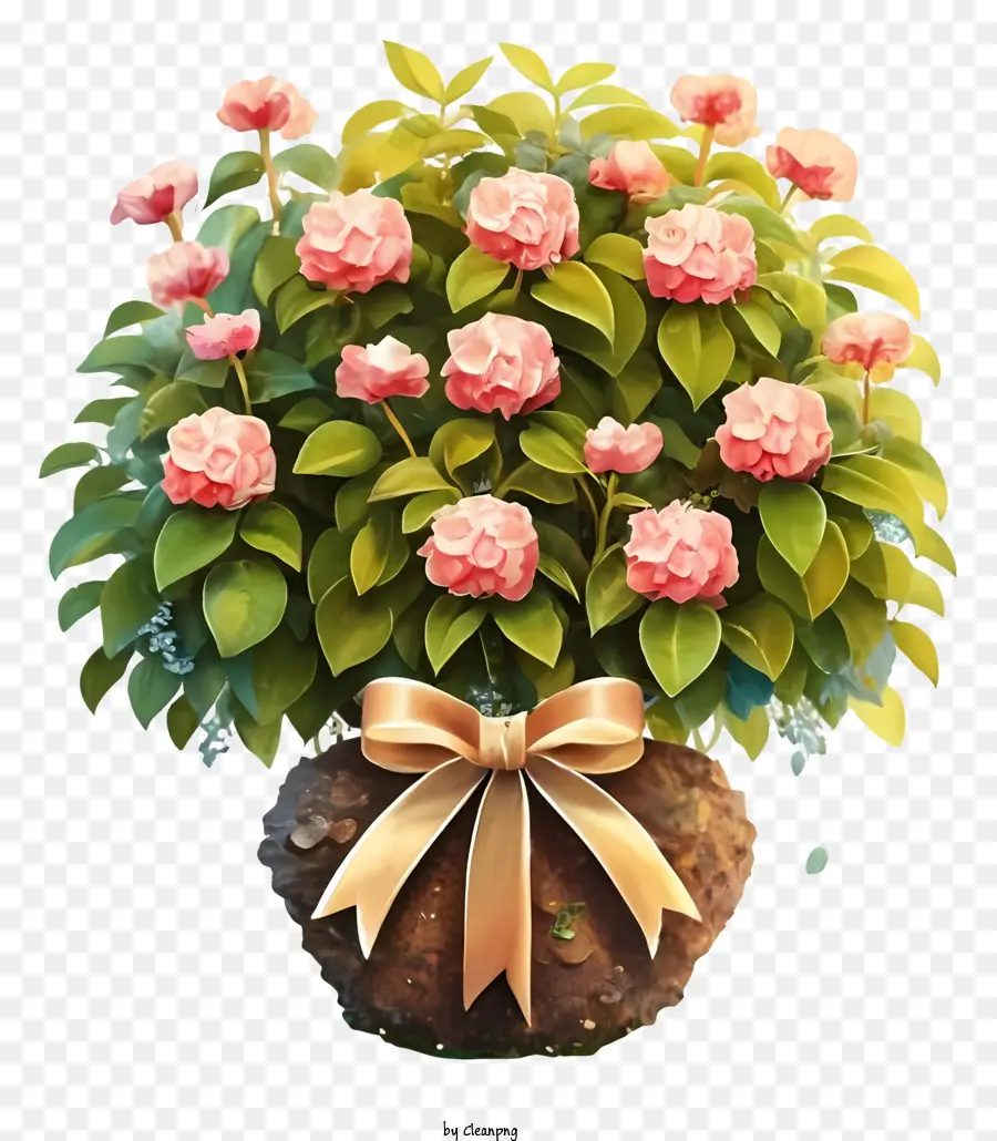 Dessin Animé，Grande Plante En Pot PNG