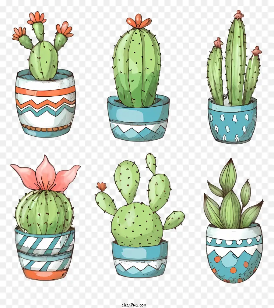 Dessin Animé，Cactus Colorés PNG