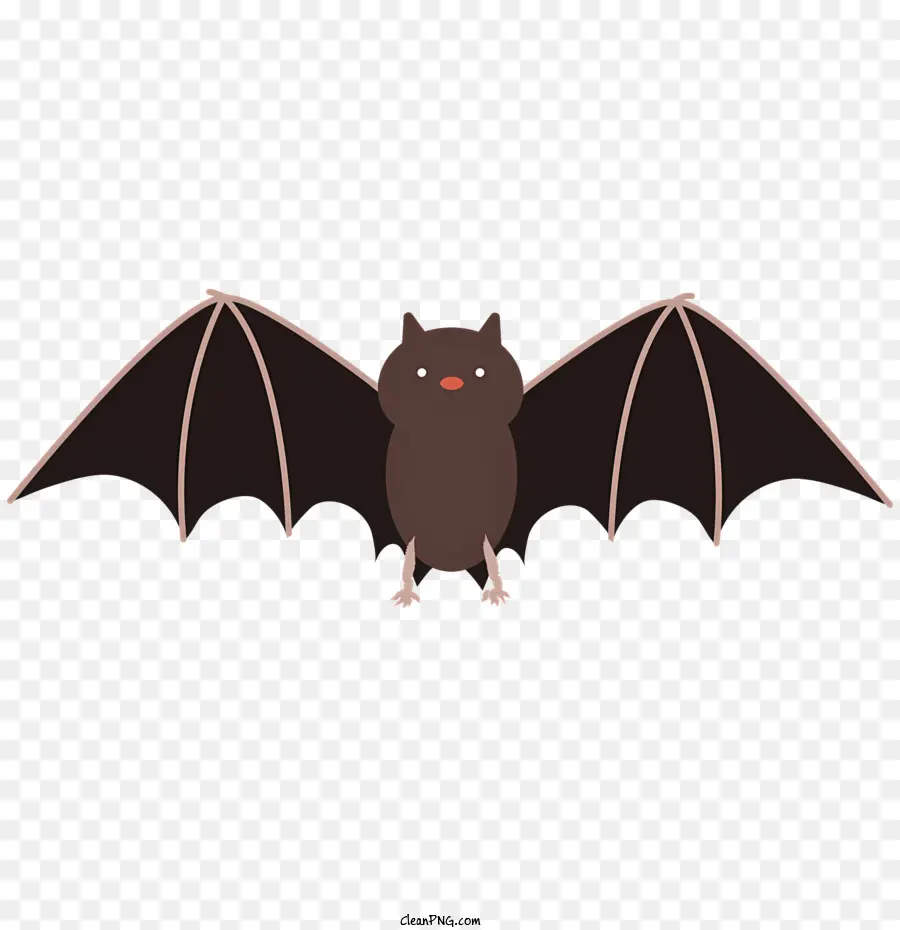 Chauve Souris Brune，Pattes Arrière PNG