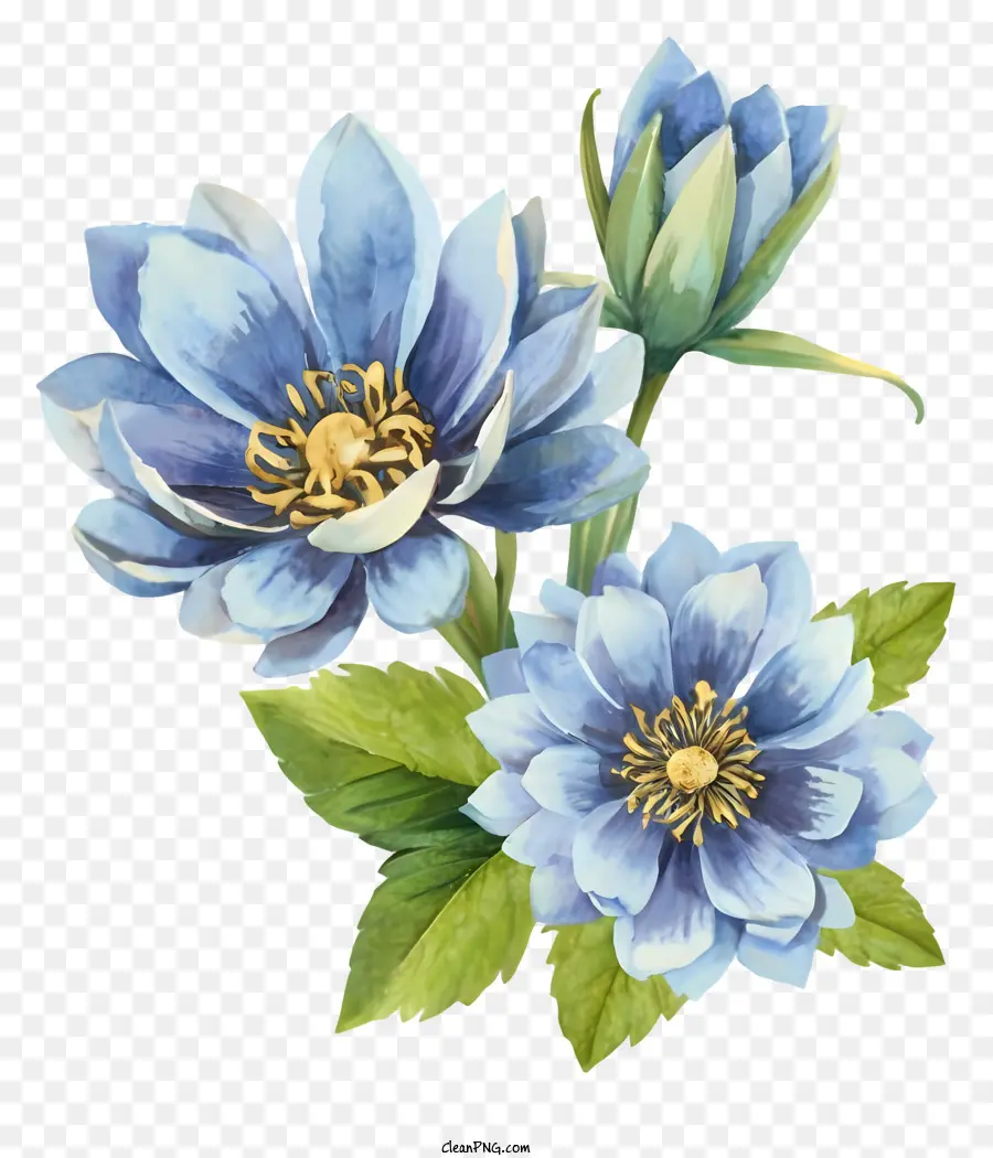 Dessin Animé，Fleurs Bleues PNG