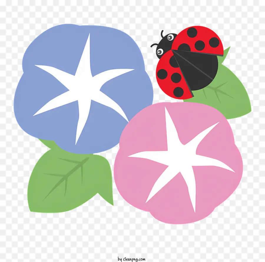 Icône，Fleurs Et Coccinelle PNG