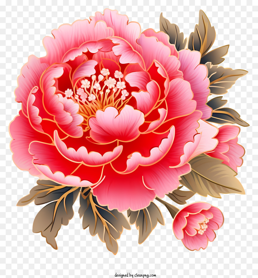 Dessin Anim Nouvel An Chinois Pivoine Rose De Fleurs De Pivoine De Belles Fleurs Png Dessin