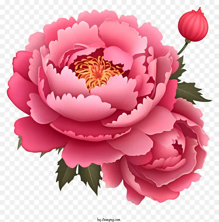 Nouvel An Chinois Réaliste，Fleur Rose PNG