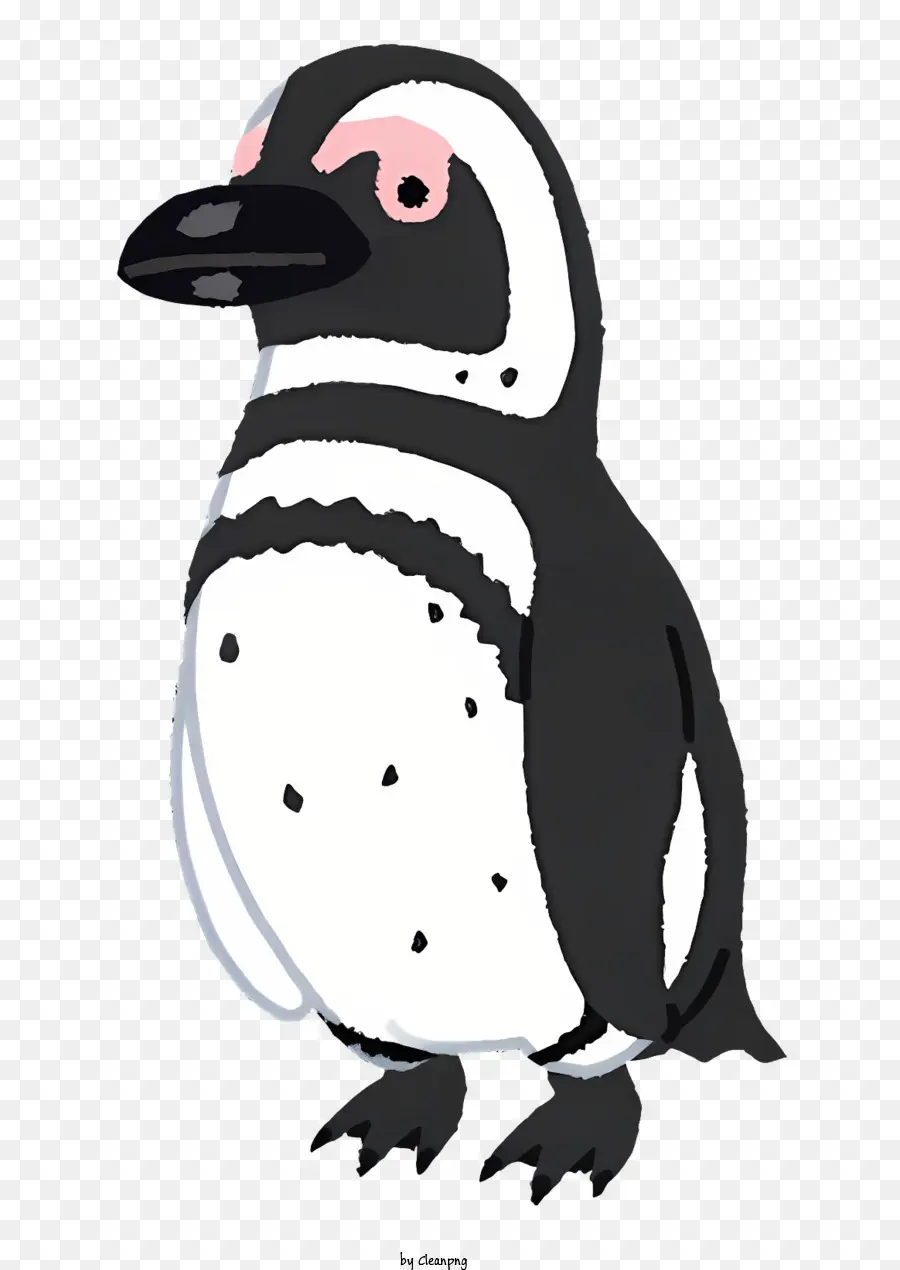 La Nature，Pingouin PNG